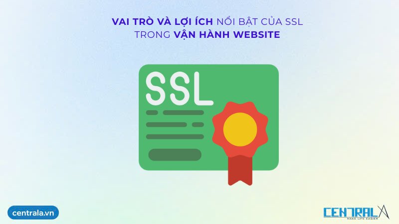 Vai trò và lợi ích của SLL trong vận hành website