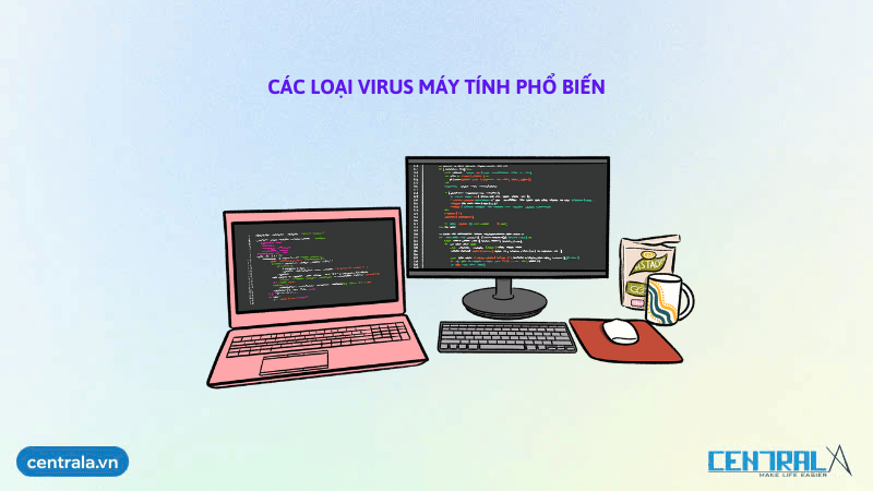 cac-loai-virus-may-tinh-pho-bien