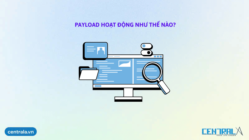 payload-hoat-dong-nhu-the-nao