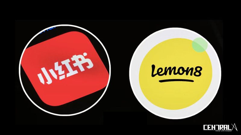 Quá nhiều tính năng làm Lemon8 liên tục bị so sánh với các mạng xã hội khác