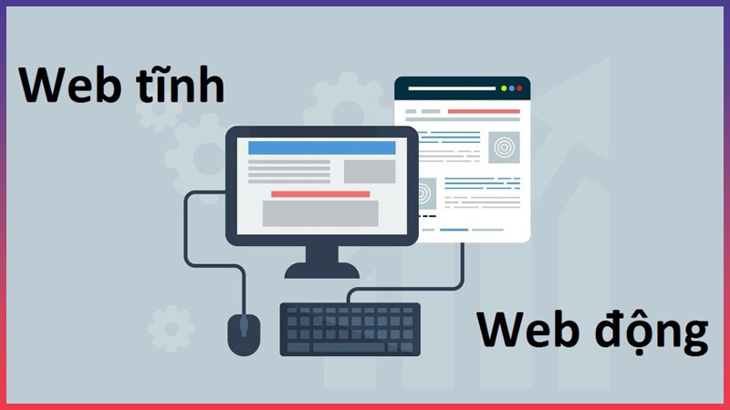 Có mấy cách phân loại website